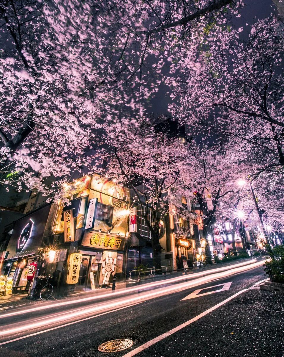Токио. Токио яимпонияы. Токио улицы. Ночной Токио.