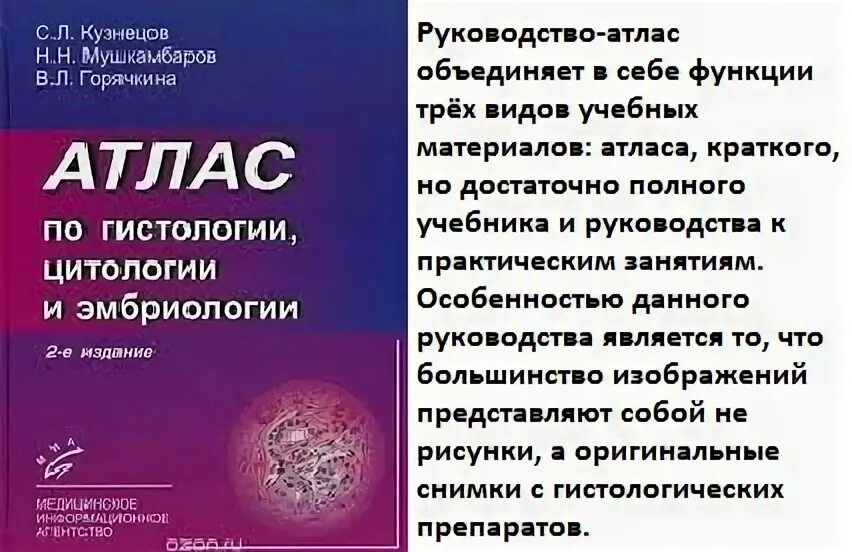 Атлас по гистологии. Атлас по гистологии