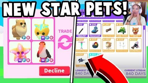 Pet star adopt