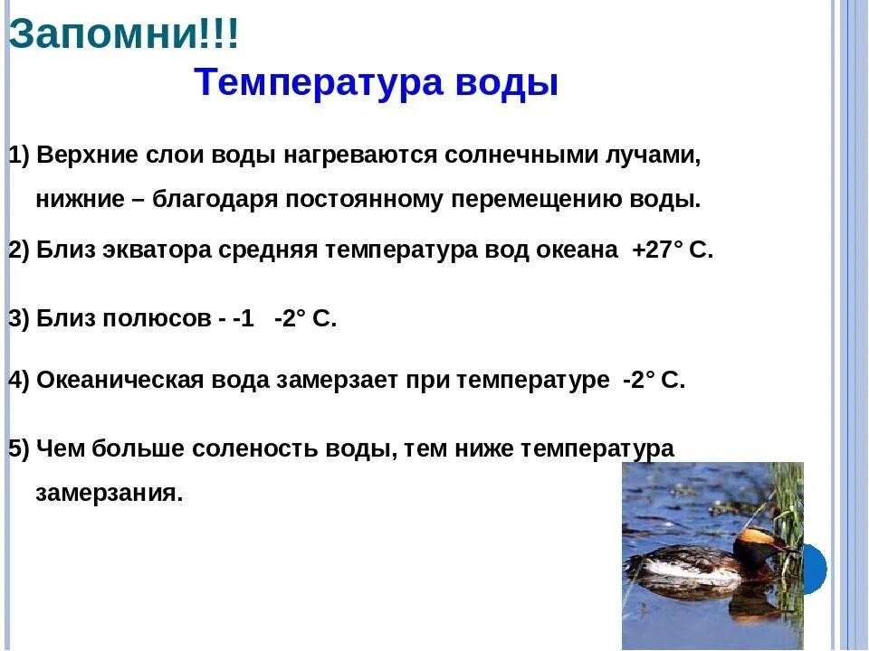 Влияет ли температура на звук. Температура воды. Определение температуры воды. Температура морской воды. Температура океанской воды.