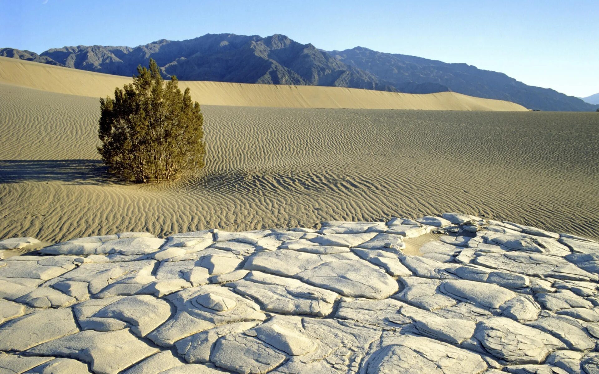 Долина смерти, Калифорния (Death Valley). Пустыня Мохаве Долина смерти. Нац парк Долина смерти США. Пески Мохаве. На территориях с жарким и климатом