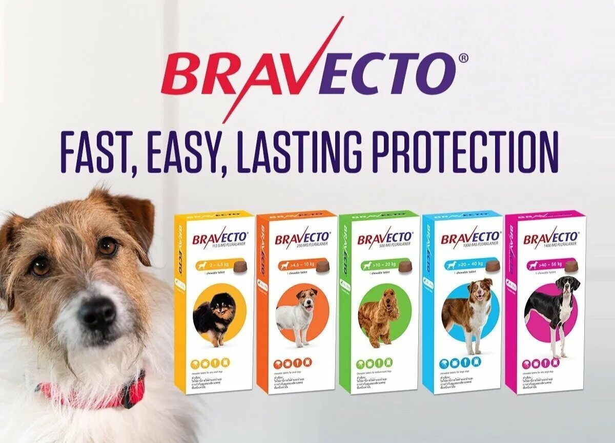 Bravecto 20-40. Бравекто для собак 20-40 кг таблетки. MSD animal Health Бравекто таблетки от блох и клещей для мелких пород собак. Bravecto 10-20.