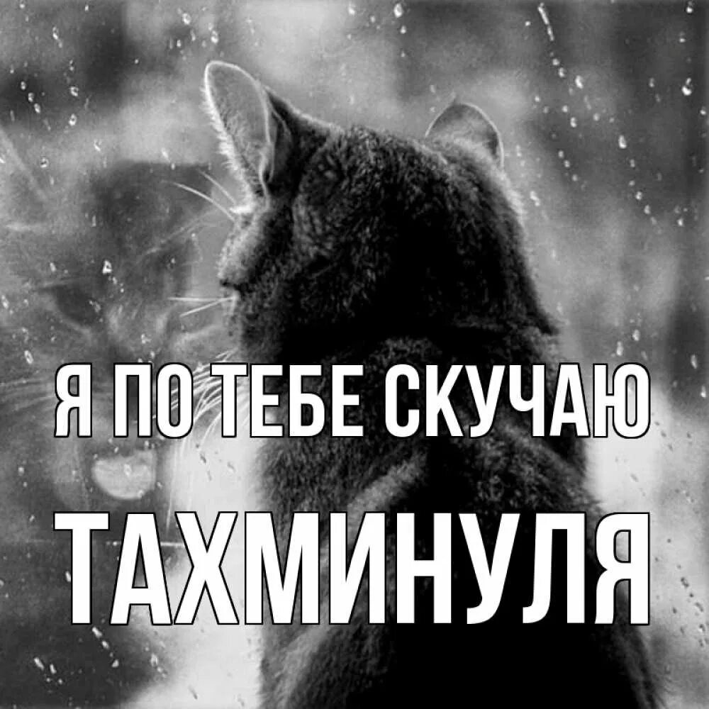 Размышления о жизни. Я скучаю а ты. Когда нет рядом любимой. Когда нет любимого человека. Спокойной ночи олег.