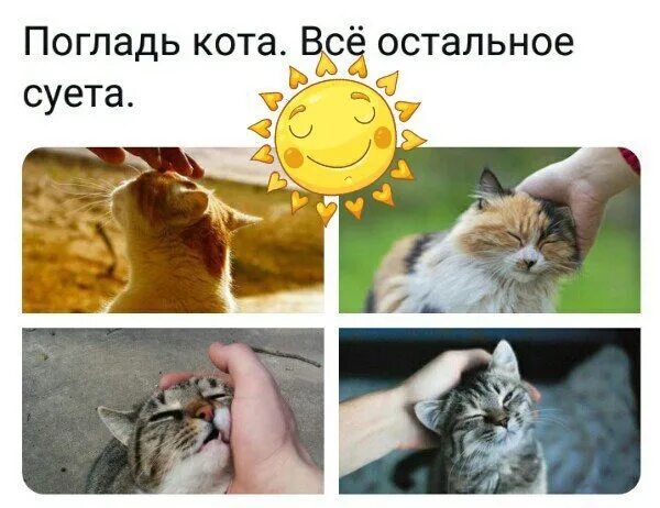 Кто-то съел описание, может даже кот.