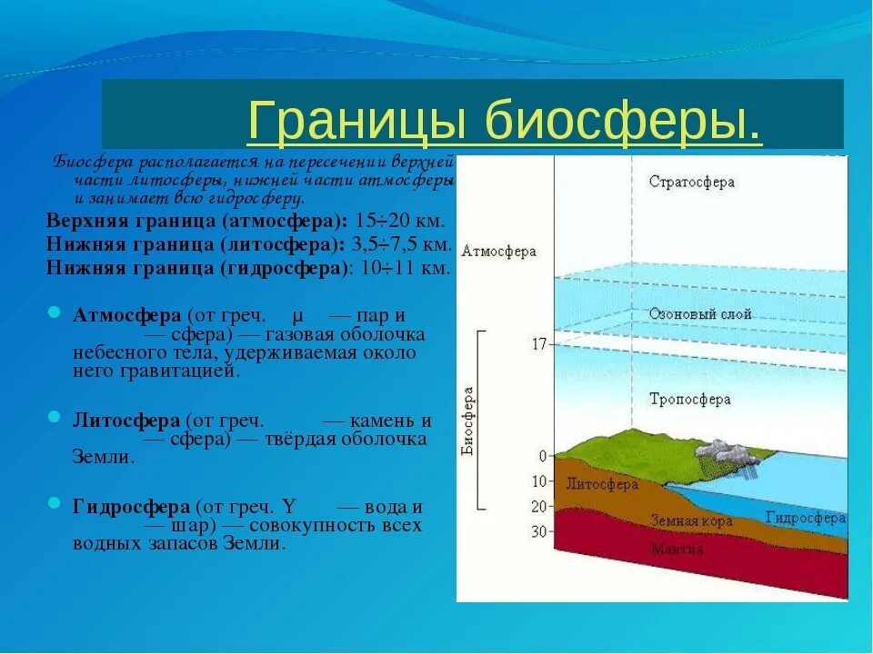 География 5 класс литосфера тесты с ответами. Литосфера гидросфера атмосфера Биосфера. Сферы земли Биосфера гидросфера. Верхняя граница биосферы ионосфера. Границы биосферы атмосфера гидросфера литосфера.