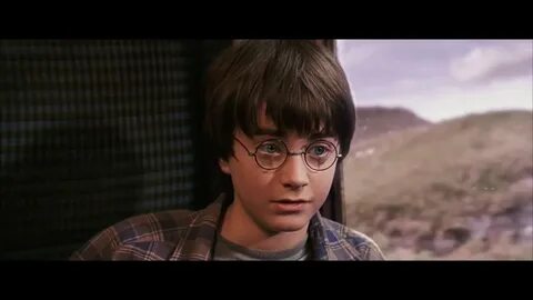 Видео potter