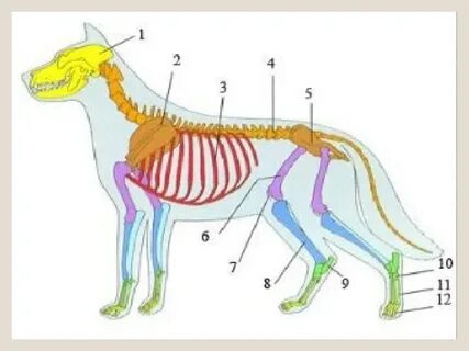 Порно секс орыс бай әйелдер