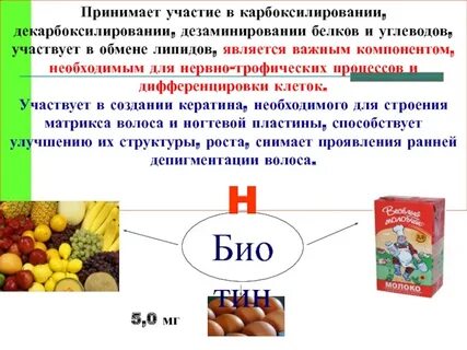 Роль витаминов в обмене белков