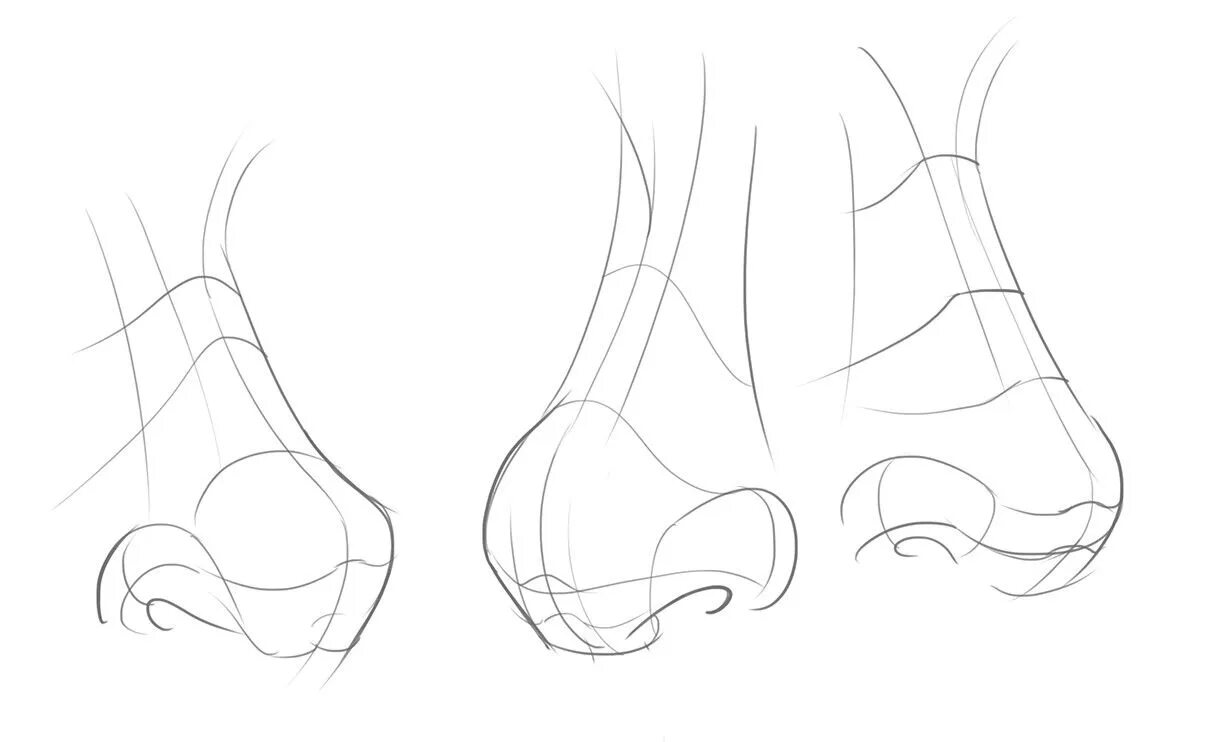 Нос снизу. Нос снизу референс. Поэтапное рисование носа. Нос карандашом. Поэтапное рисование носа человека.