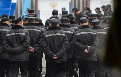 Законопроект осужденных