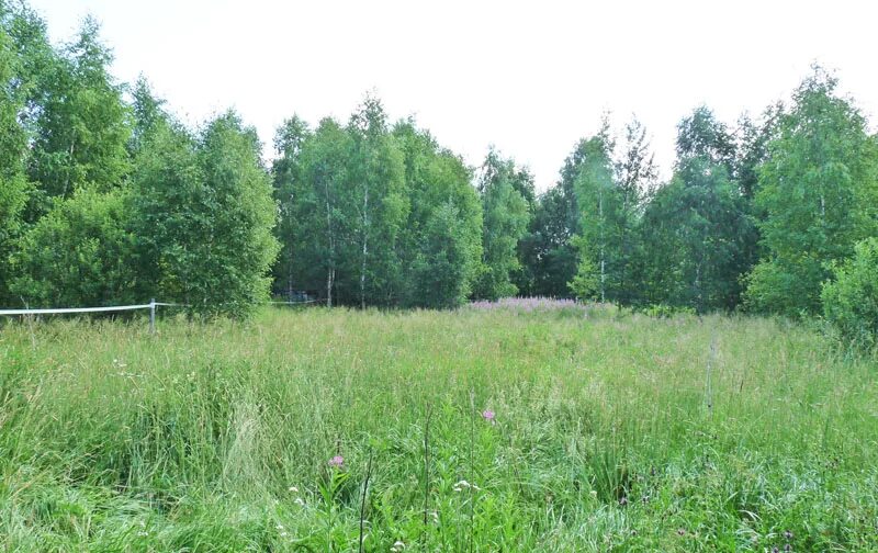 московская область ногинский район деревня кашино 11. ногинск мировые участки. снт антей ногинский район. Henkel ногинск адрес. бисерово (ногинский район).