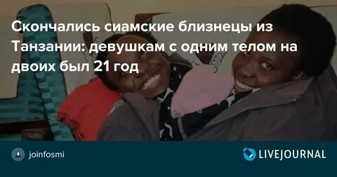 Вышла замуж сиамские