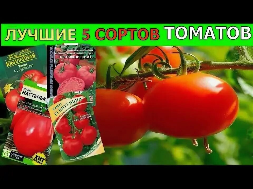 Рейтинг сортов 2025