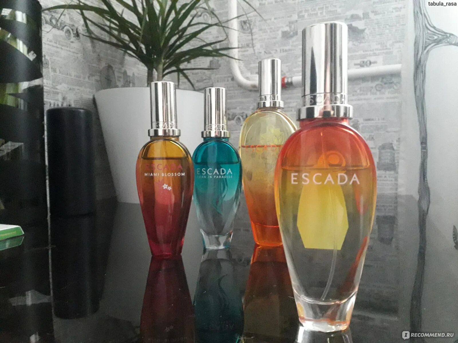 Escada limited edition. Эскада рокин рио. escada rockin rio limited edition. лимитки эскада. escada miami blossom.