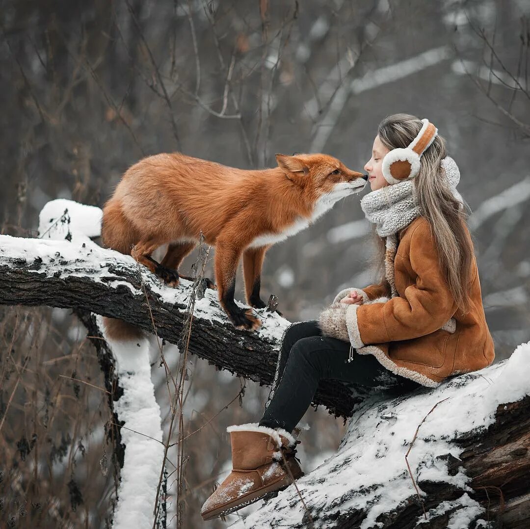 Доверие зима. Зимняя фотосессия с лисой. Лиса зима. Звери в зимнем лесу. Зимняя фотосессия с животными.