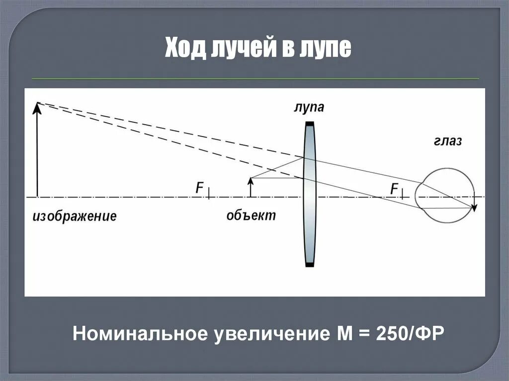 Собирающая линза используемая в качестве лупы дает. Лупа схема. Ход лучей в лупе схема. Строение лупы. Ход лучей в оптической системе лупы.