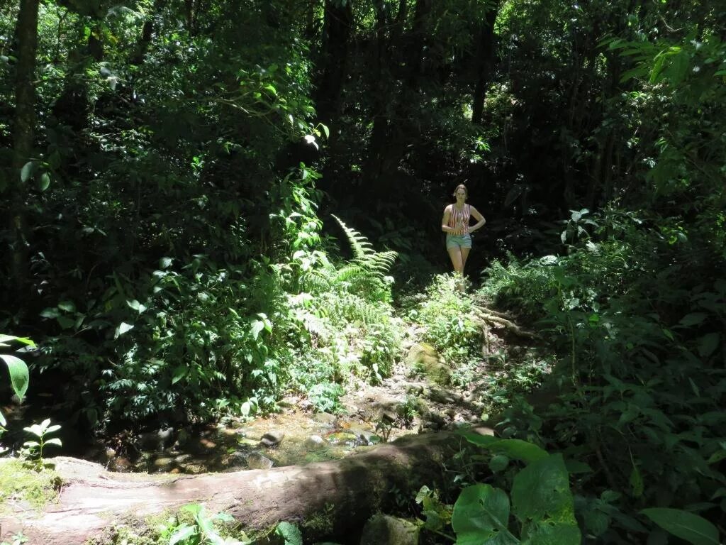 Лиссан фрон и крис кремерс 2020. Исчезновение в джунглях панамы туристок крис кремерс и лисанн фрон. Крис кремерс и лиссан фронт. Фотосессия в джунглях. Исчезновение в джунглях крис кремерс и лисанн фрон.