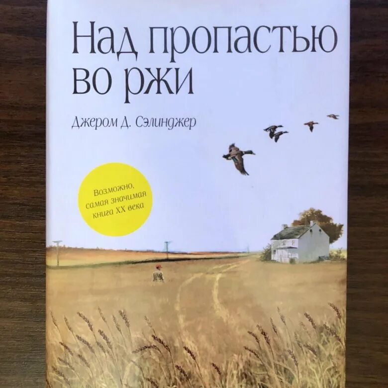 Во ржи книга краткое содержание. «Над пропастью во ржи» Джерома Сэлинджера. Сэлинджер над пропастью во ржи иллюстрации. Над пропастью во ржи книга. Над пропастью во ржи обложка книги.