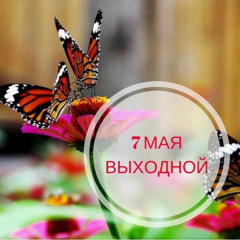 7 мая выходной. 7 Мая выходные. 12 Мая выходной. Картинка 2 мая выходной. Майские выходные.