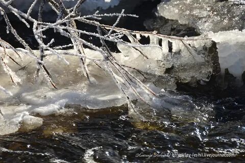Вода весной