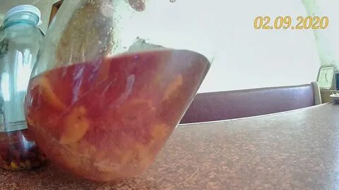 Сливовая брага