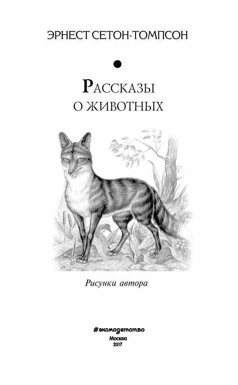 Э сетон рассказы о животных. Книга рассказы о животных сетон томпсон. сетон-томпсон рассказы о животных иллюстрации автора.