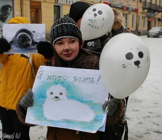 Международный день защиты бельков. Международный день защиты белька. Плакаты о защите Бельков. День защиты Бельков рисунки.