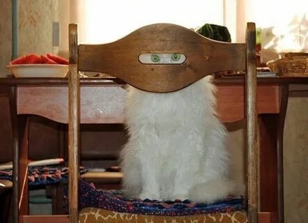 Не успел спрятаться