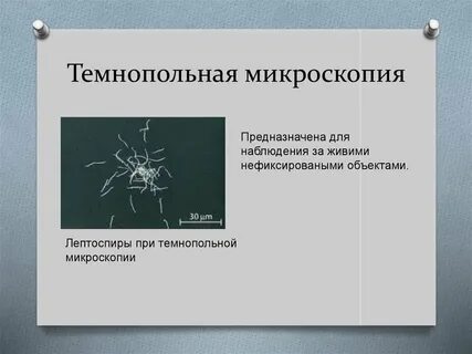Микроскопией называют