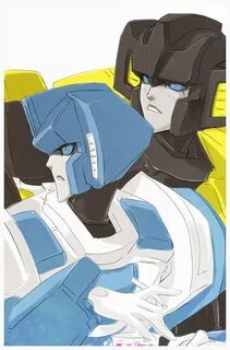 Midnight prowl