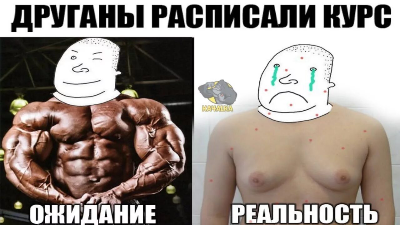 Пкт в бодибилдинге. Стероиды. стероиды пкт. послекурсовая терапия стероидов.