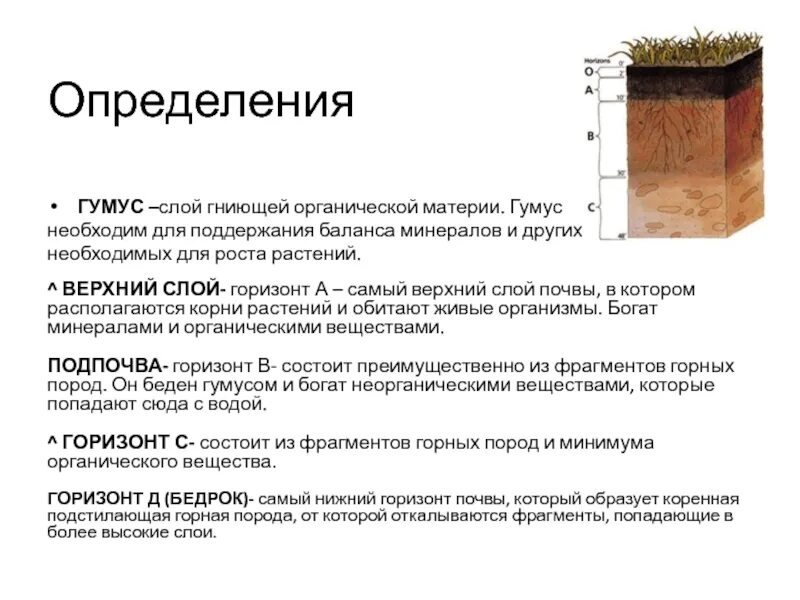 Какой горизонт почвы. Строение почвы почвенные горизонты. строение почвы гумус. строение почвы подвесные горезонты. структура почвенных горизонтов.