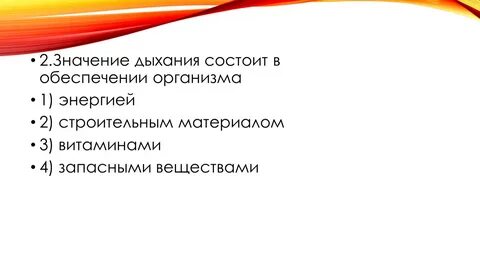 Обеспечение организмов энергией