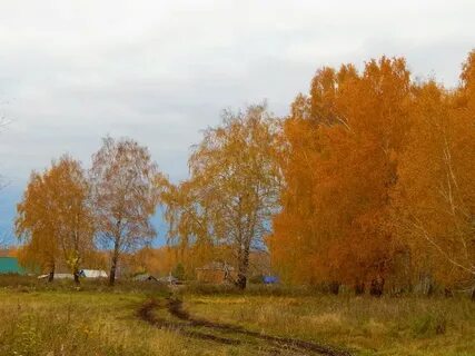 Медная осень