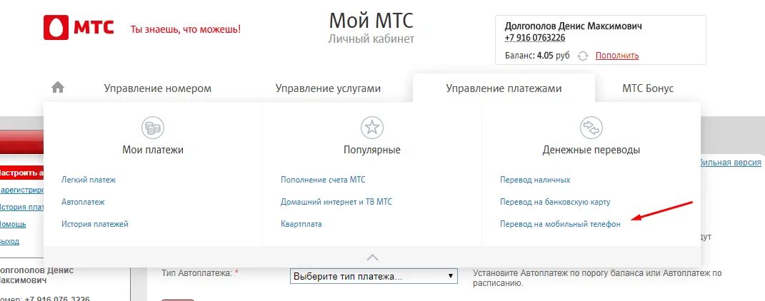 Положили деньги не на тот номер мтс. Как перекинуть деньги с МТС на волну. Как перекинуть деньги с вин на МТС. Как перевести деньги с вин мобайл на МТС. С МТС на МТС перевести деньги на волну.