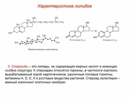 Простые стероиды