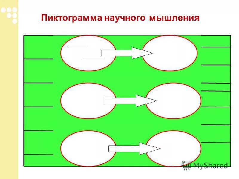 Типология мышления. Типология мышления Брунер.