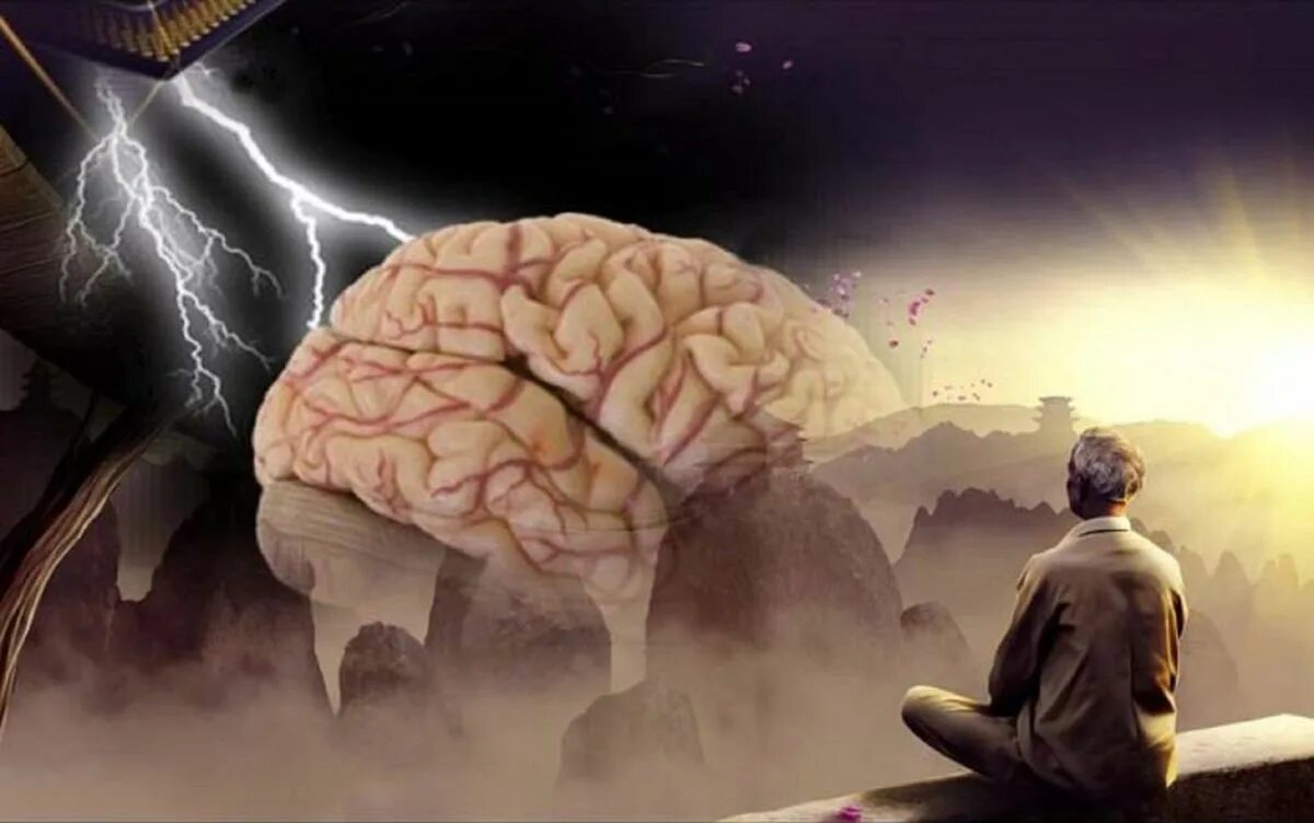 Условием развития человека помимо реальности самой. Мысли в голове. "Мозг и внутренний мир".