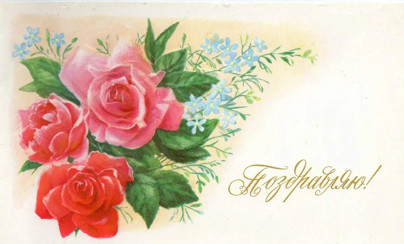Открытки. Поздравительная открытка. Открытка рисунок. Открытка цветы. 72 год открытка с днем рождения
