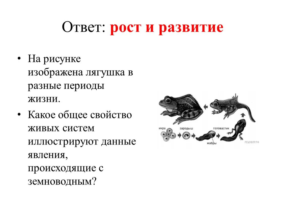 Какое общее свойство живых огэ биология. Признаки биологических объектов. признаки биологических объектов огэ биология. общие свойства живых систем огэ биология. свойства живых организмов огэ биология.