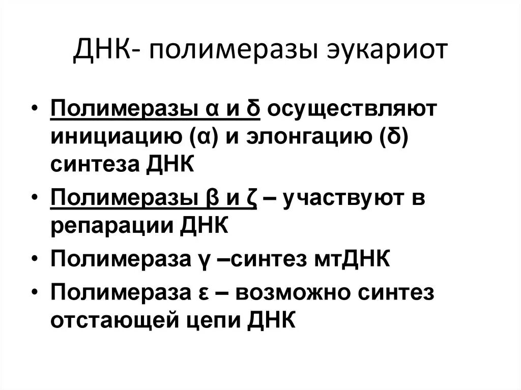 Осуществляется ферментом днк полимеразой. Типы ДНК полимераз эукариот. ДНК полимераза эукариот строение. Характеристика ДНК полимераз. ДНК полимеразы эукариот функции.