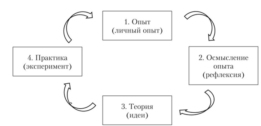 Опыт новой теории. Этапы цикла д. колба. Цикл колба схема. Цикл обучения колба. Опыт анализ теория практика.