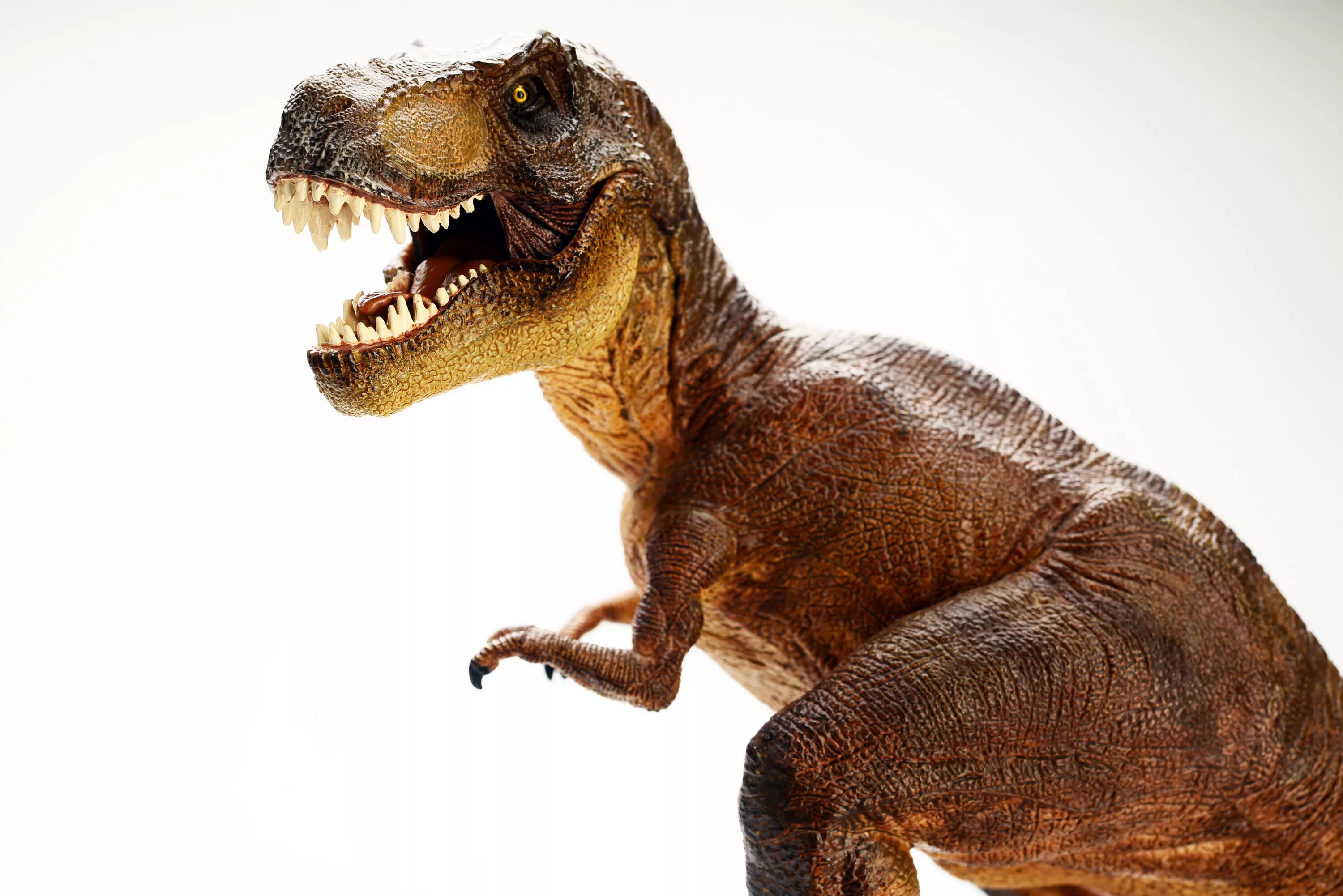 Тираннозавр картинки. Тираннозавр рекс. Динозавр "Тиранозавр рекс". Динозавры Тиранозавр РЭКС. Тираннозавр рекс 2022.