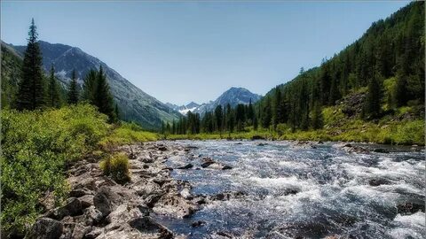 Altai krai arbitr