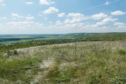 Ландшафт восточно европейской равнины