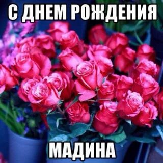 Прислала мне тетя