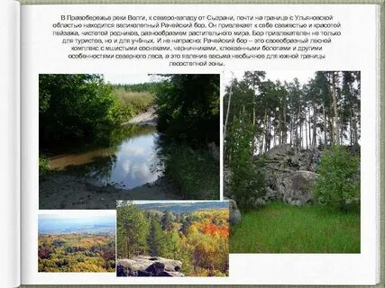 Природные зоны реки волга