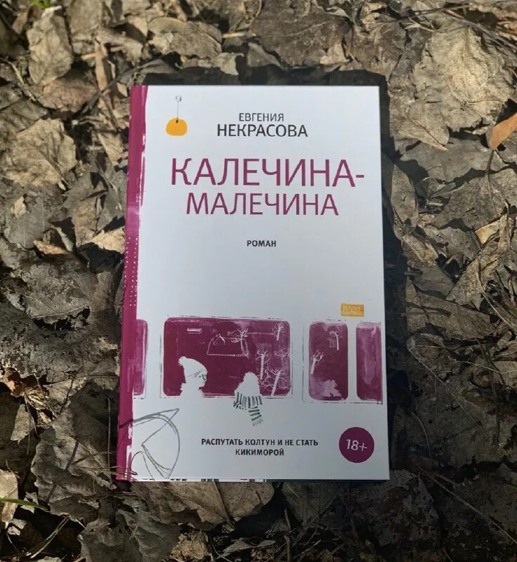 калечина-малечина евгения игоревна некрасова книга. е некрасова калечина малечина. калечина-малечина евгения игоревна некрасова книга. калечина малечина книга. книги евгении некрасовой.