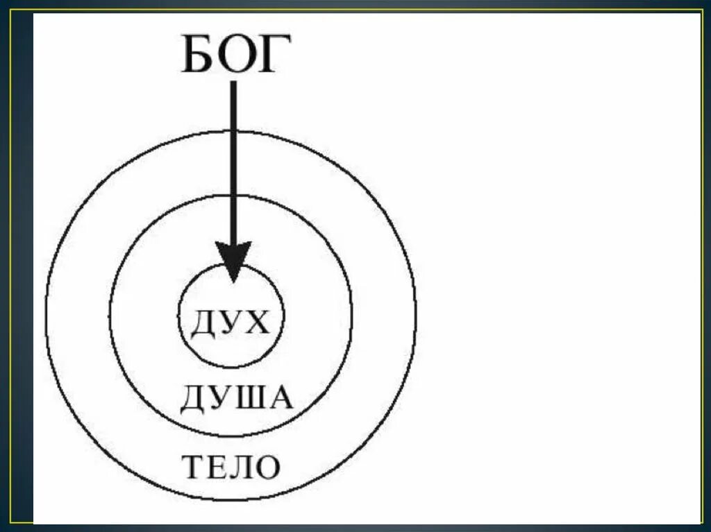 Книги дух душа. Дух, душа и тело. Человек дух душа тело. Триединство дух душа тело. Дух душа и тело схема.