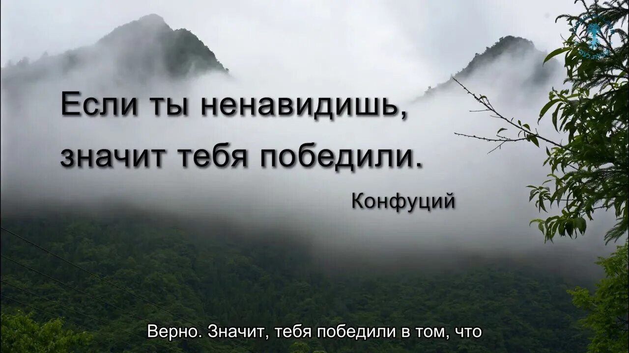 Принципы ты ненавидишь. Если ты ненавидишь значит тебя победили. Если ты ненавидишь значит тебя победили Конфуций. Если ты испытываешь ненависть значит тебя победили. Нсли ты не навидишь значит тебя поделили.